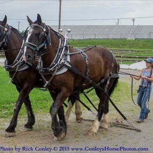 Meet your Posher, Darla